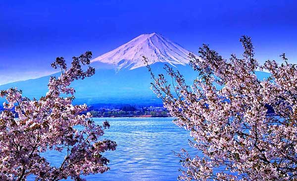 日本优才